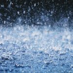 Presencia de pesticidas en agua de lluvia en Paysandú