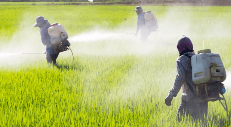 Prohibir agroquímicos tóxicos