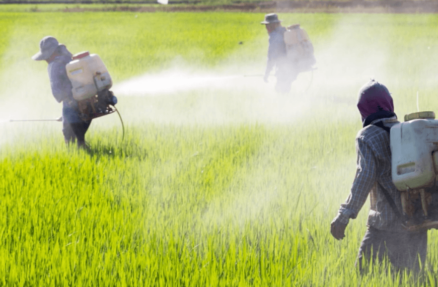 Prohibir agroquímicos tóxicos