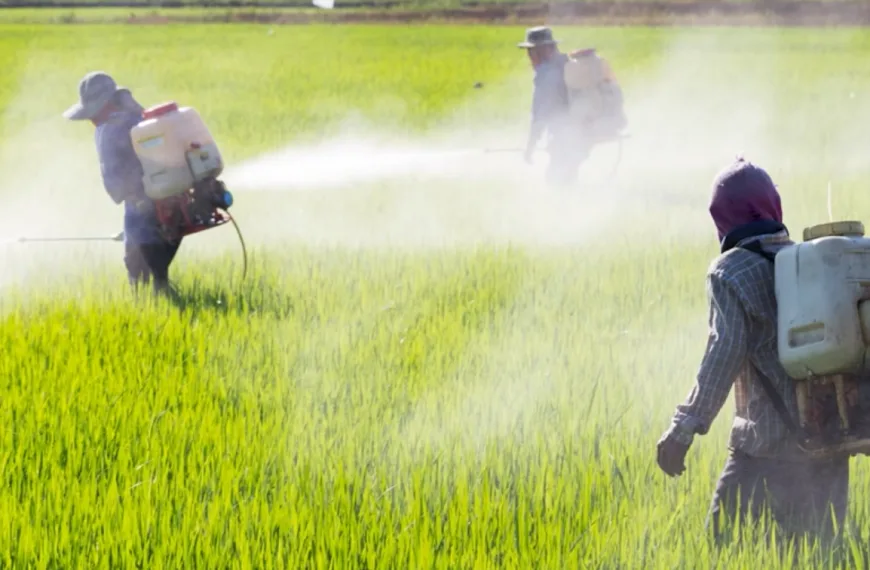 Prohibir agroquímicos tóxicos