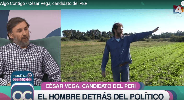 Vega en “Algo Contigo”