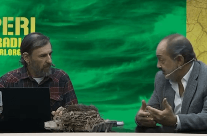 Vega y Sarthou sobre contratos secretos