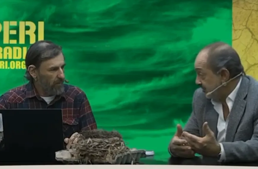 Vega y Sarthou sobre contratos secretos