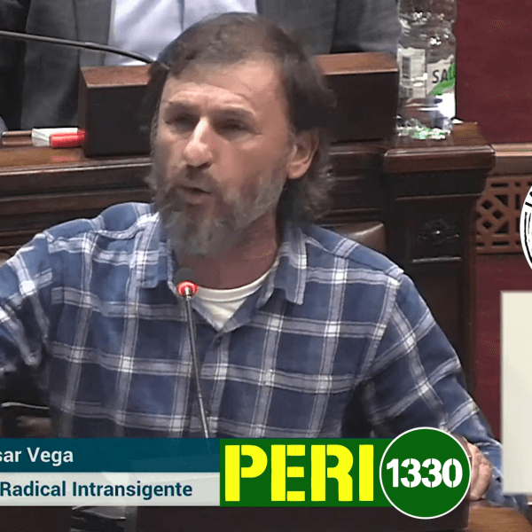 Breve resumen parlamentario