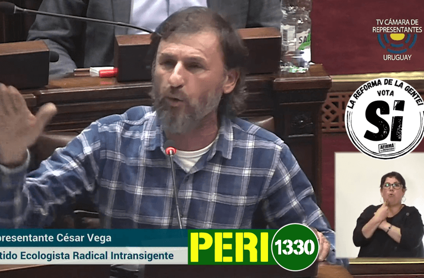 Breve resumen parlamentario