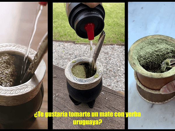 Yerba Mate nacional