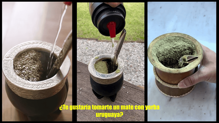 Yerba Mate nacional